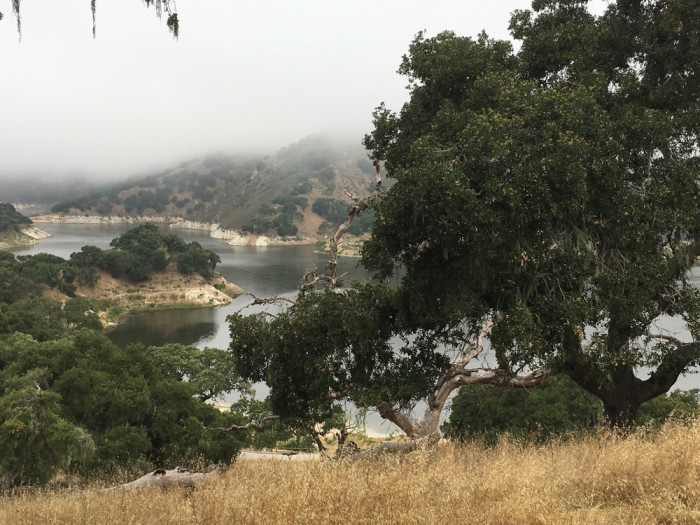 Lopez Lake Recreation Area Arroyo Grande, CA Campground Reviews